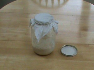 Sourdough Starter Vessel