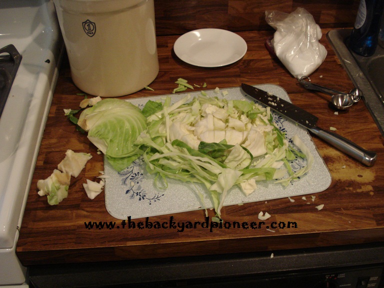 Sauerkraut Step2 Homemade Sauerkraut