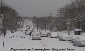 Preparedness Lessons from Blizzard Nemo