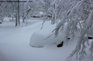 Preparedness Lessons from Blizzard Nemo