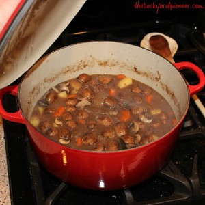 Venison Stew