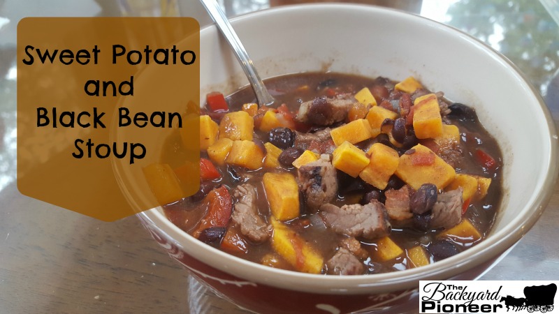 Sweet Potato And Black Bean Stoup