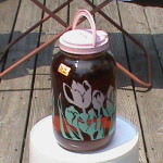 Sun Brewed Iced Tea