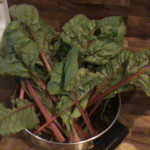 Swiss Chard, a green for all seasons!