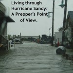 Living through Hurricane Sandy