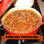 Quick and Easy Venison Chili