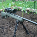 Project Ruger 10/22 Range Time