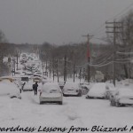 Preparedness Lessons from Blizzard Nemo