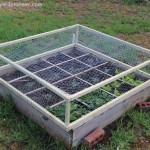 Keep critters out of your raised beds