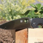 Spyderco Resilience Review