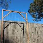 How to Build a Trellis for Vertical Gardening