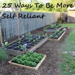 25 Ways You Can Be More Self Reliant Today