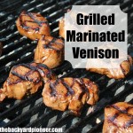 Grilled Marinated Venison Backstrap