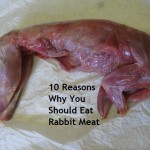 10 Reasons Why You Should Eat Rabbit Meat