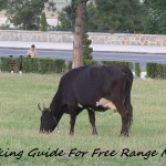 Cooking guide for free range meat