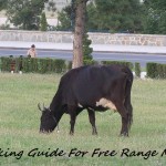 Cooking Guide For Free Range Meat