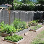 The First Year with our Hugelkultur Beds
