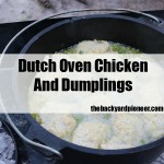 Dutch Oven Chicken And Dumplings