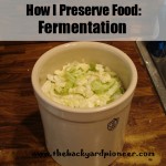 Preserving With Fermentation